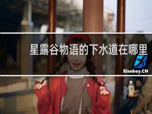星露谷物语的下水道在哪里