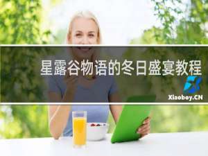 星露谷物语的冬日盛宴教程