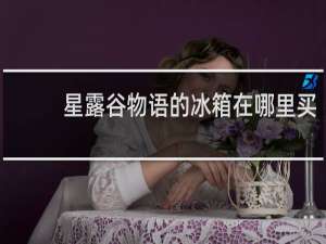 星露谷物语的冰箱在哪里买