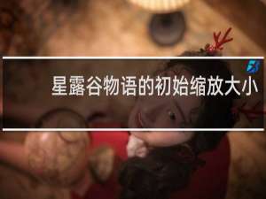 星露谷物语的初始缩放大小