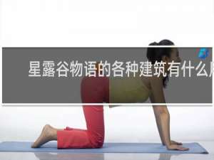 星露谷物语的各种建筑有什么用