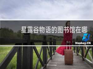 星露谷物语的图书馆在哪