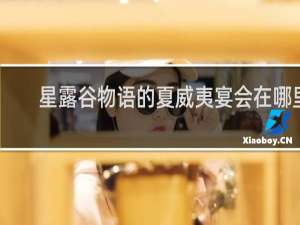 星露谷物语的夏威夷宴会在哪里