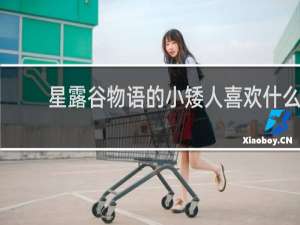 星露谷物语的小矮人喜欢什么