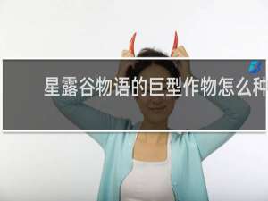 星露谷物语的巨型作物怎么种