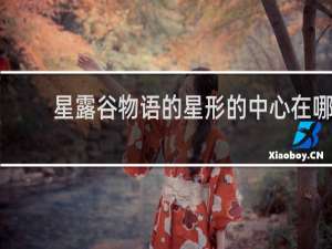 星露谷物语的星形的中心在哪