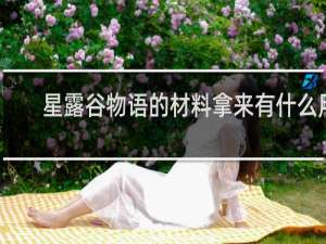 星露谷物语的材料拿来有什么用