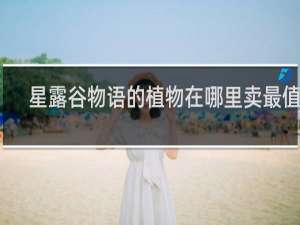 星露谷物语的植物在哪里卖最值钱