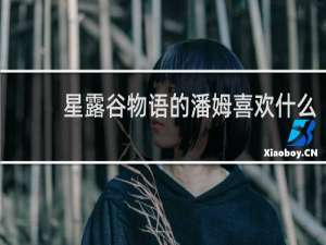 星露谷物语的潘姆喜欢什么