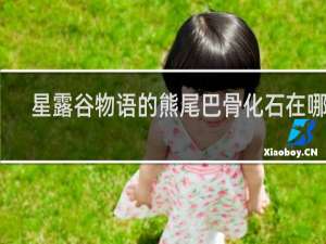 星露谷物语的熊尾巴骨化石在哪里