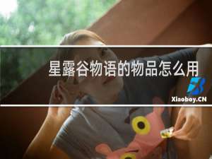 星露谷物语的物品怎么用
