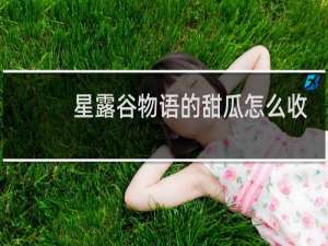 星露谷物语的甜瓜怎么收