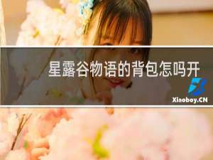 星露谷物语的背包怎吗开