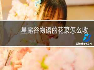 星露谷物语的花菜怎么收