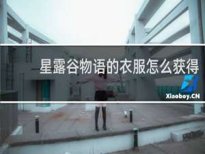 星露谷物语的衣服怎么获得