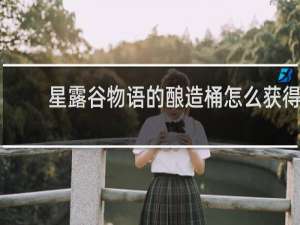 星露谷物语的酿造桶怎么获得