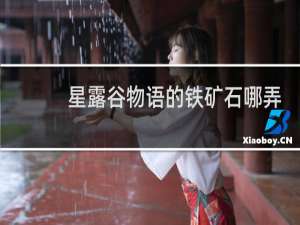 星露谷物语的铁矿石哪弄