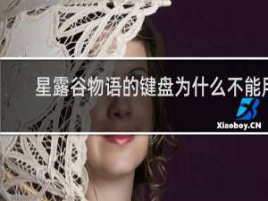 星露谷物语的键盘为什么不能用