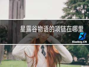 星露谷物语的项链在哪里