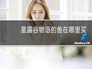 星露谷物语的鱼在哪里买