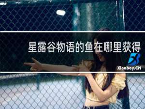 星露谷物语的鱼在哪里获得