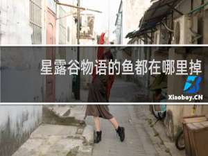 星露谷物语的鱼都在哪里掉