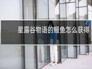 星露谷物语的鳗鱼怎么获得