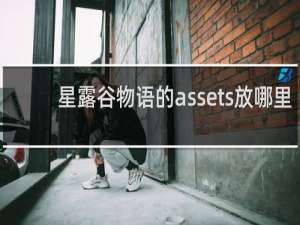 星露谷物语的assets放哪里