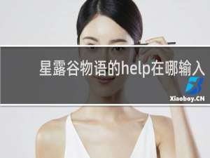 星露谷物语的help在哪输入