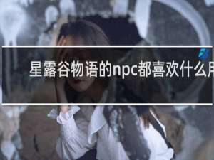 星露谷物语的npc都喜欢什么用
