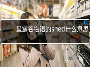 星露谷物语的shed什么意思