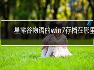 星露谷物语的win7存档在哪里