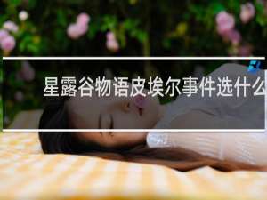 星露谷物语皮埃尔事件选什么