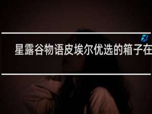 星露谷物语皮埃尔优选的箱子在哪