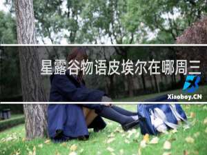 星露谷物语皮埃尔在哪周三