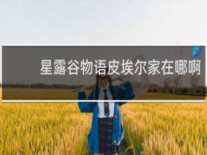 星露谷物语皮埃尔家在哪啊