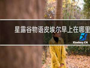 星露谷物语皮埃尔早上在哪里