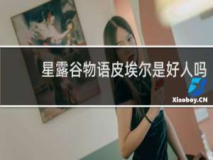 星露谷物语皮埃尔是好人吗