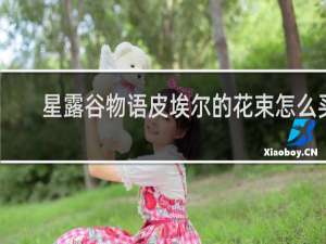 星露谷物语皮埃尔的花束怎么买