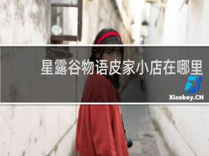 星露谷物语皮家小店在哪里