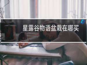 星露谷物语盆栽在哪买