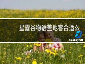 星露谷物语盖地窖合适么