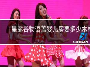 星露谷物语盖婴儿房要多少木材