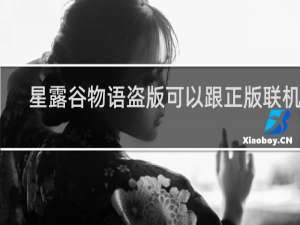 星露谷物语盗版可以跟正版联机吗
