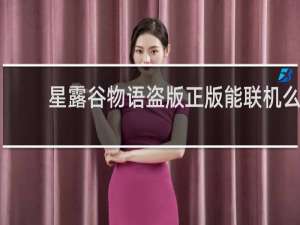 星露谷物语盗版正版能联机么
