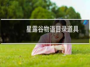 星露谷物语目录道具