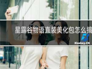 星露谷物语直装美化包怎么搞