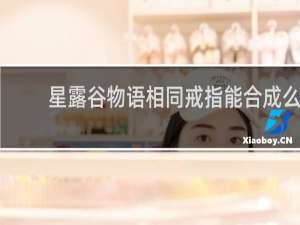 星露谷物语相同戒指能合成么