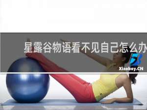 星露谷物语看不见自己怎么办