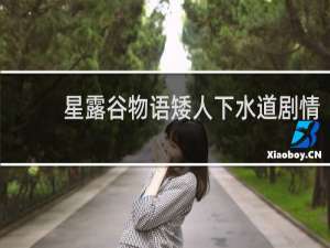 星露谷物语矮人下水道剧情